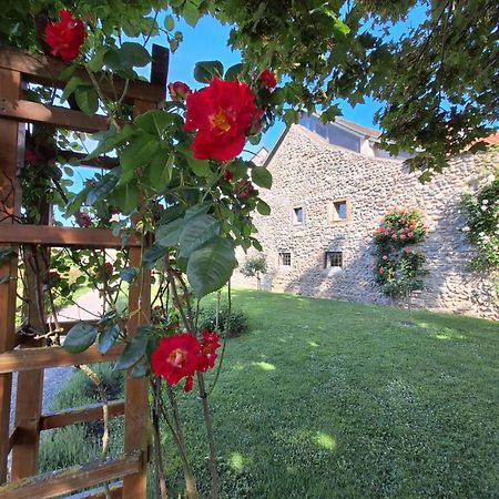 Ferienwohnung Ueberblick Radolfzell am Bodensee Zewnętrze zdjęcie