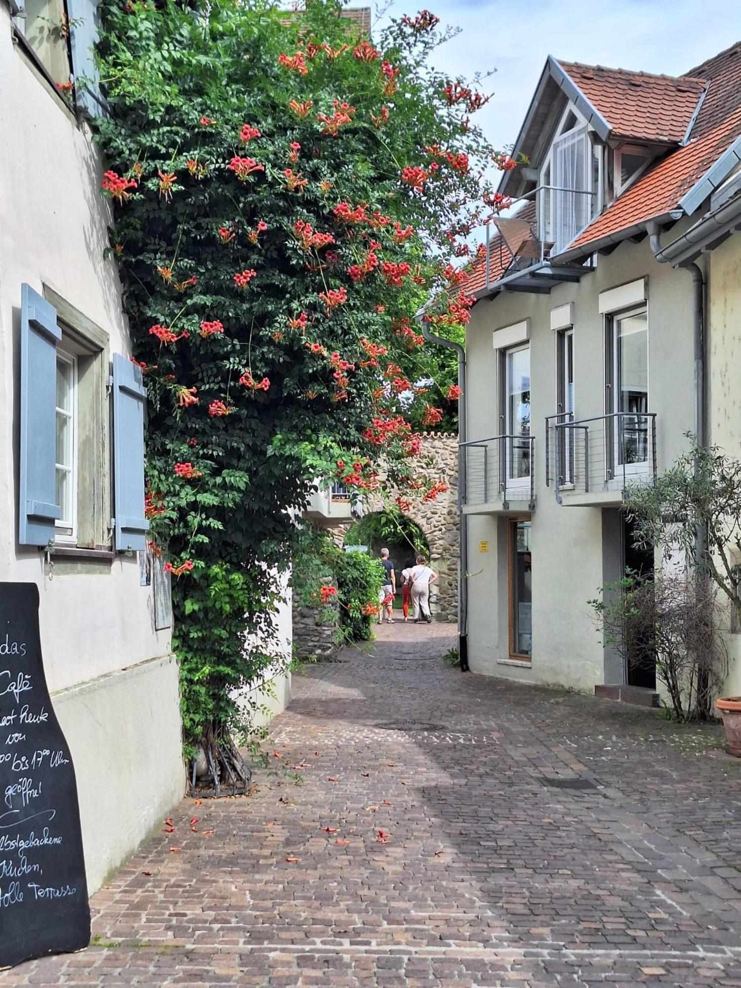 Ferienwohnung Ueberblick Radolfzell am Bodensee Zewnętrze zdjęcie